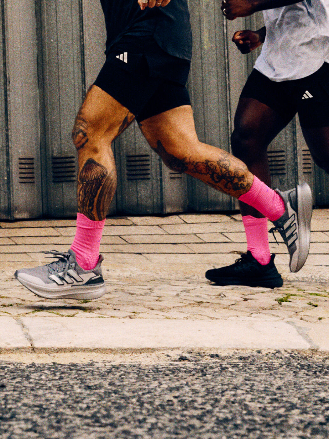 תמונה ללא שם